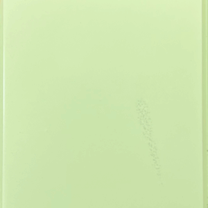 Paint #9 FP-G0078 Celery on Brown Maple wood