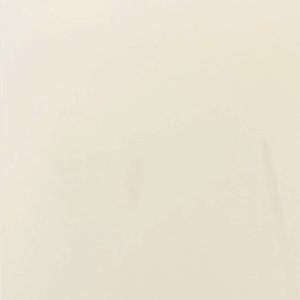 Paint #2 FP-11743 Decorator White on Brown Maple wood