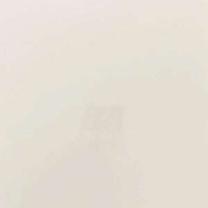 Paint #1 FP-W0117 White on Brown Maple wood